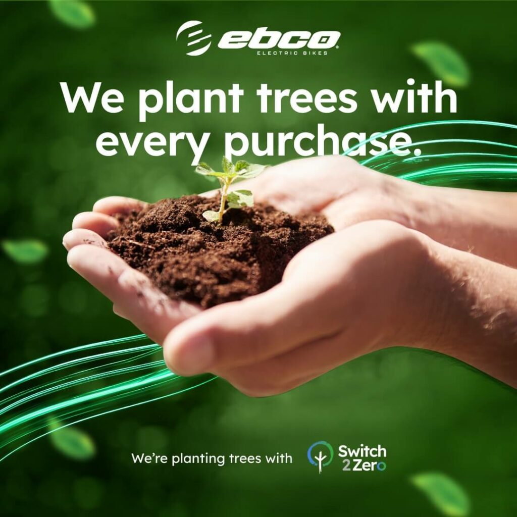 Introducing Our Green Partnership with Switch2zero: Planting Trees for a Sustainable Future